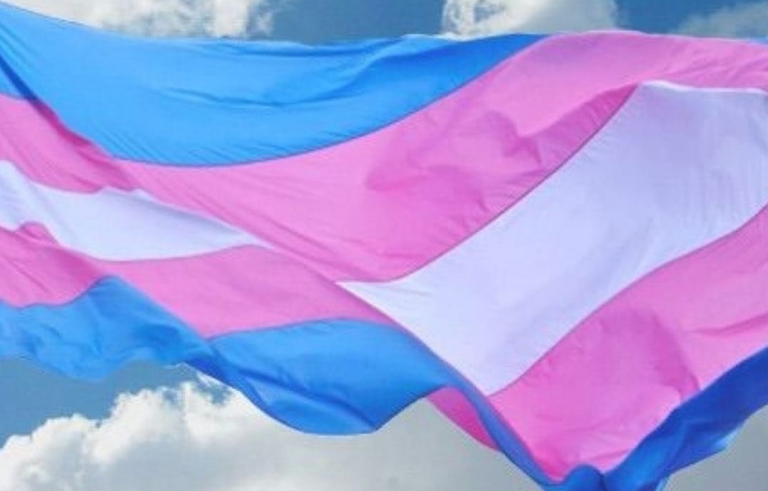 31 DE MARZO. Día internacional de la visibilidad trans
