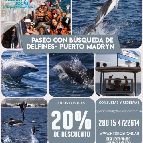 Paseo con búsqueda de delfines. Puerto Madryn