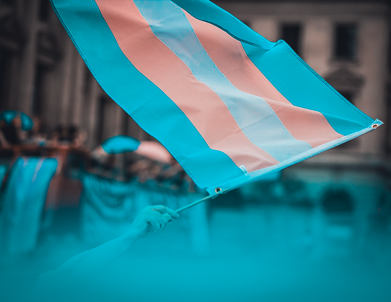24 DE JUNIO 2021. Se sanciona la ley de cupo laboral para travestis, transgénero y transexuales