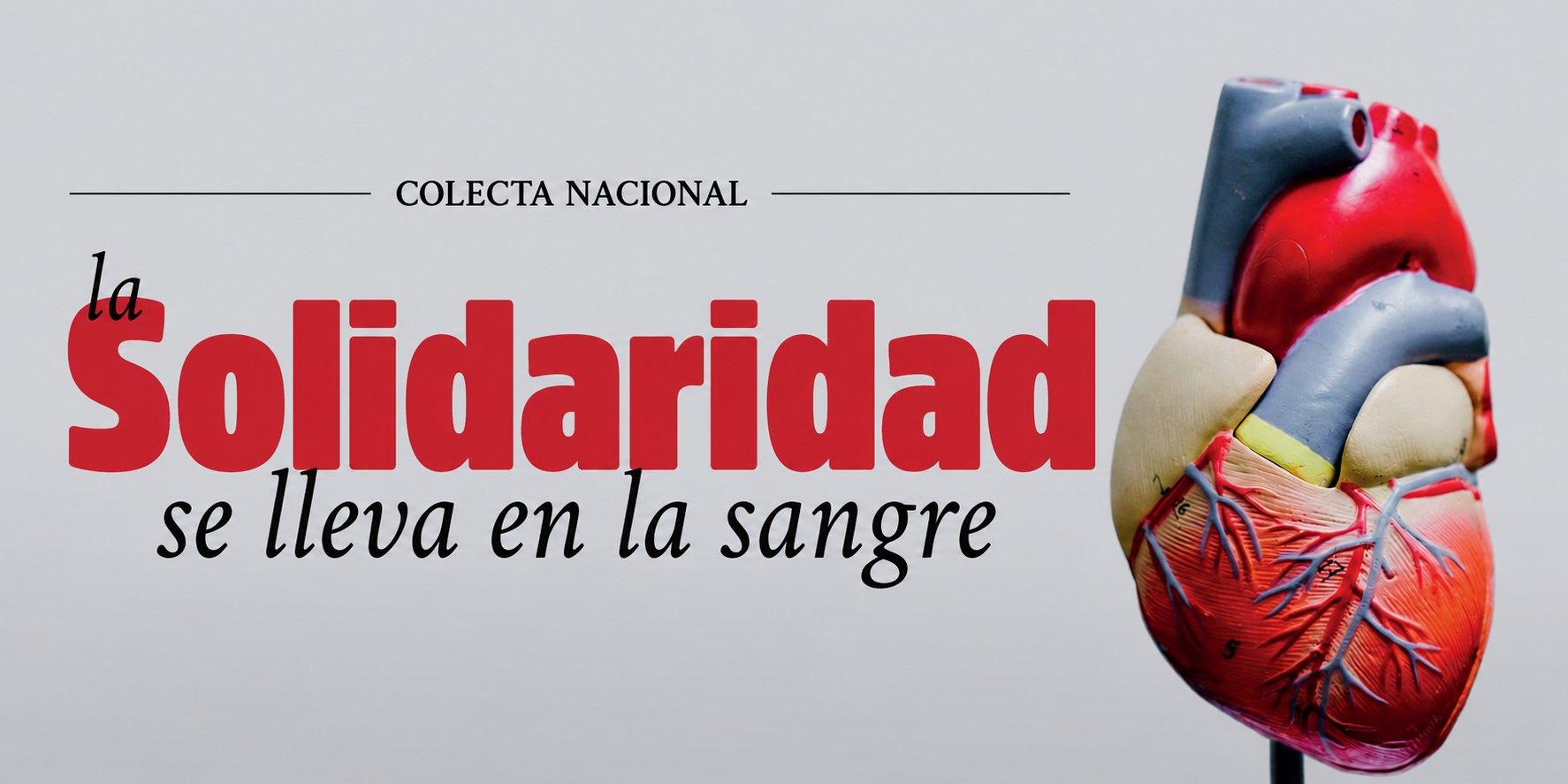 La solidaridad se lleva en la sangre