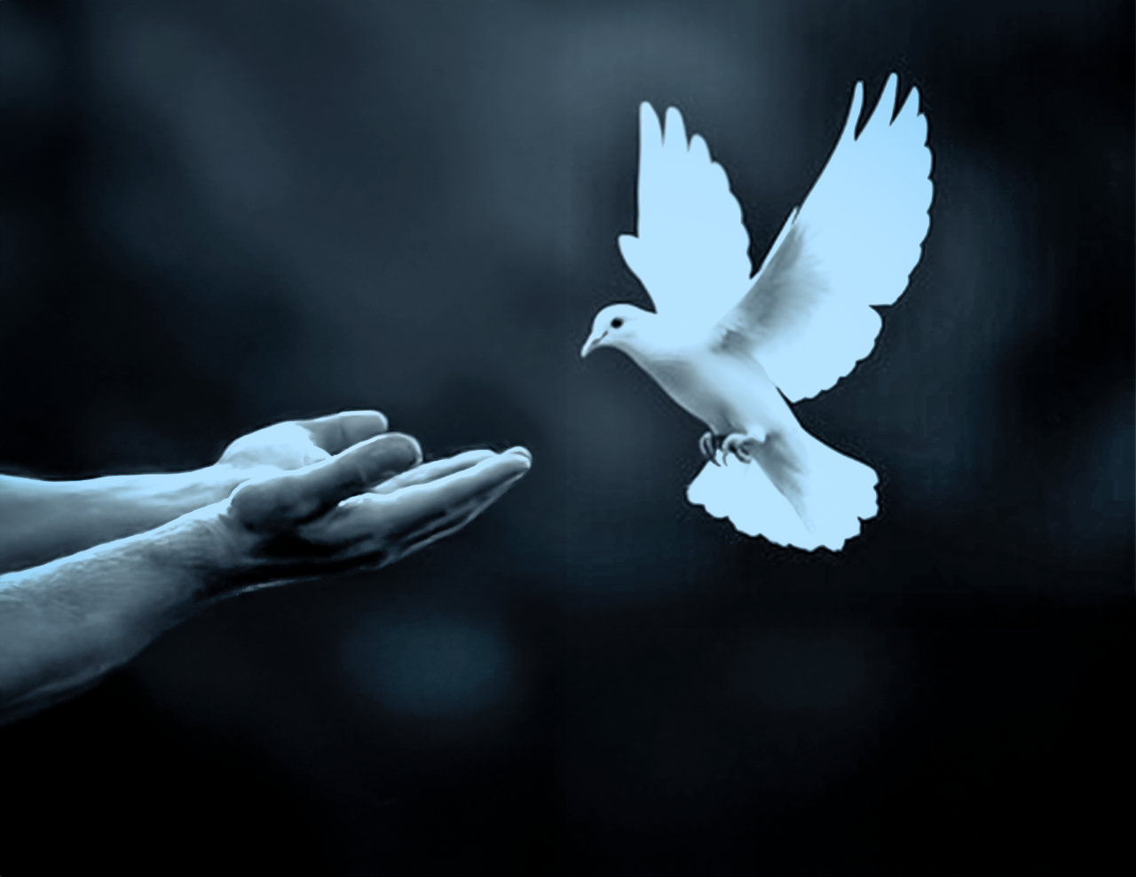 21 DE SEPTIEMBRE. Día Internacional de la Paz